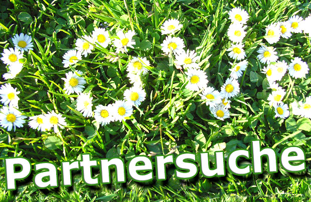 Flirten macht spaß image 7
