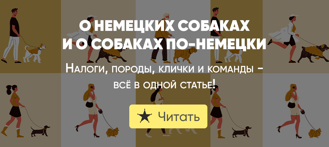 Собака по немецки перевод. Команды для собак на немецком. Команды для собак по немецки.